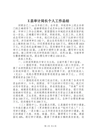 X县审计局长个人工作总结