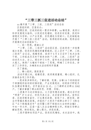 “三带三抓三促进活动总结”