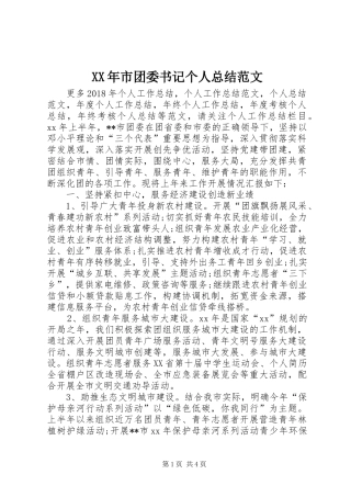 XX年市团委书记个人总结范文