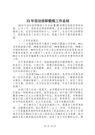 XX年信访挂职锻炼工作总结