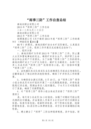 “雨季三防”工作自查总结 (3)