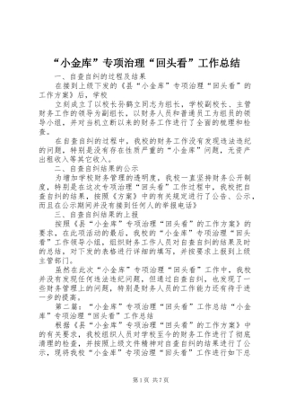 “小金库”专项治理“回头看”工作总结