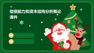 偿债能力和资本结构分析概论课件