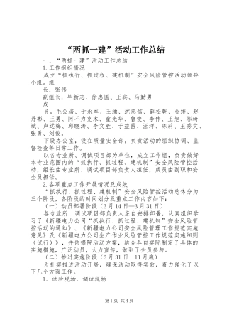 “两抓一建”活动工作总结