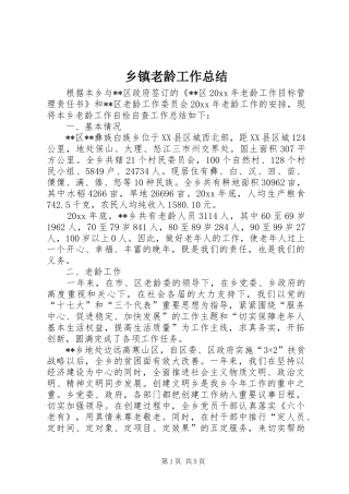 乡镇老龄工作总结 (13)