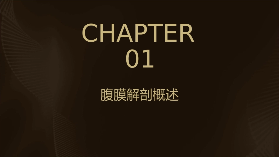 人体解剖学之腹膜护理课件1_第3页