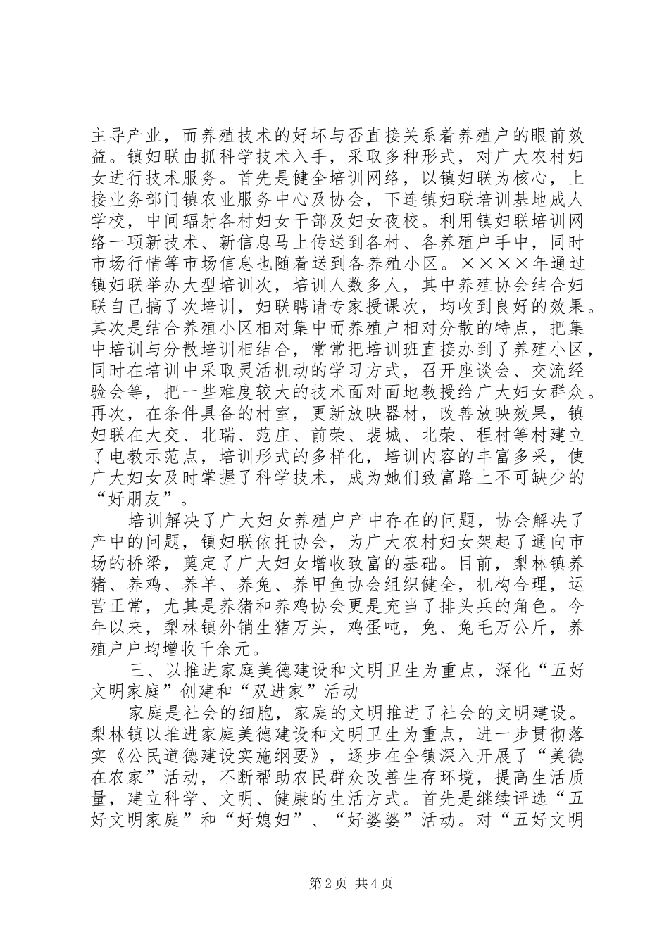 乡镇妇联工作总结 (12)_第2页