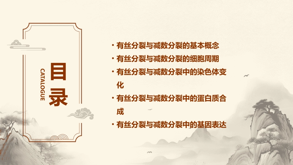 高三一轮复习有丝分裂与减数分裂课件_第2页