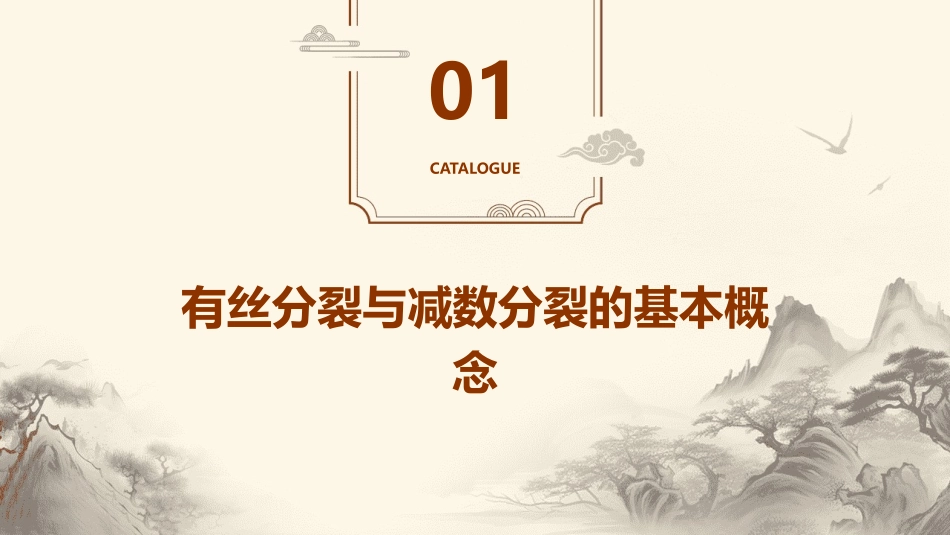 高三一轮复习有丝分裂与减数分裂课件_第3页