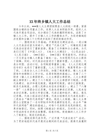 XX年终乡镇人大工作总结 (3)