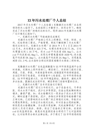 XX年污水处理厂个人总结