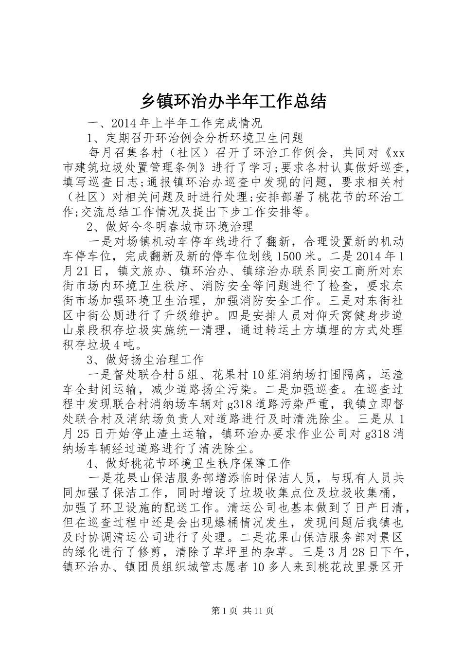 乡镇环治办半年工作总结_第1页