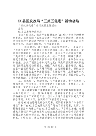 XX县区发改局“五抓五促进”活动总结