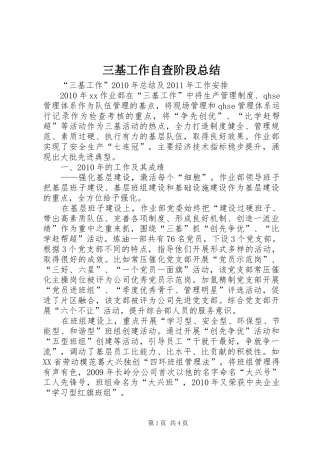 三基工作自查阶段总结 (3)