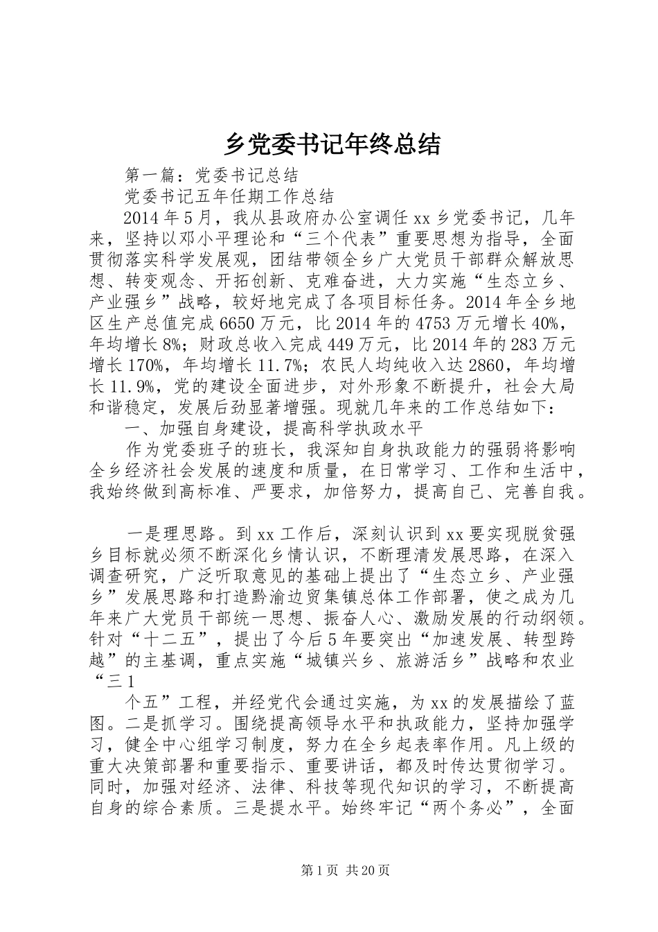 乡党委书记年终总结_第1页