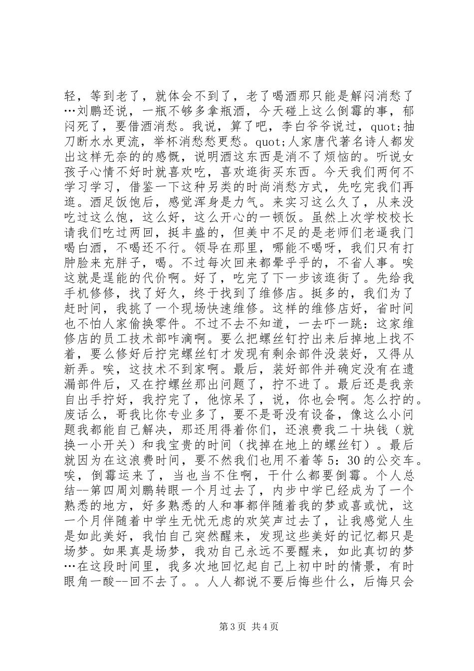 个人总结第四周个人工作总结_第3页