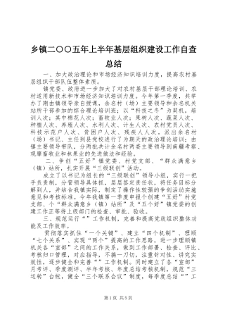 乡镇二○○五年上半年基层组织建设工作自查总结