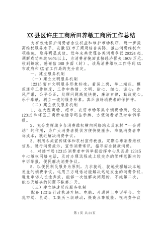 XX县区许庄工商所田养敏工商所工作总结