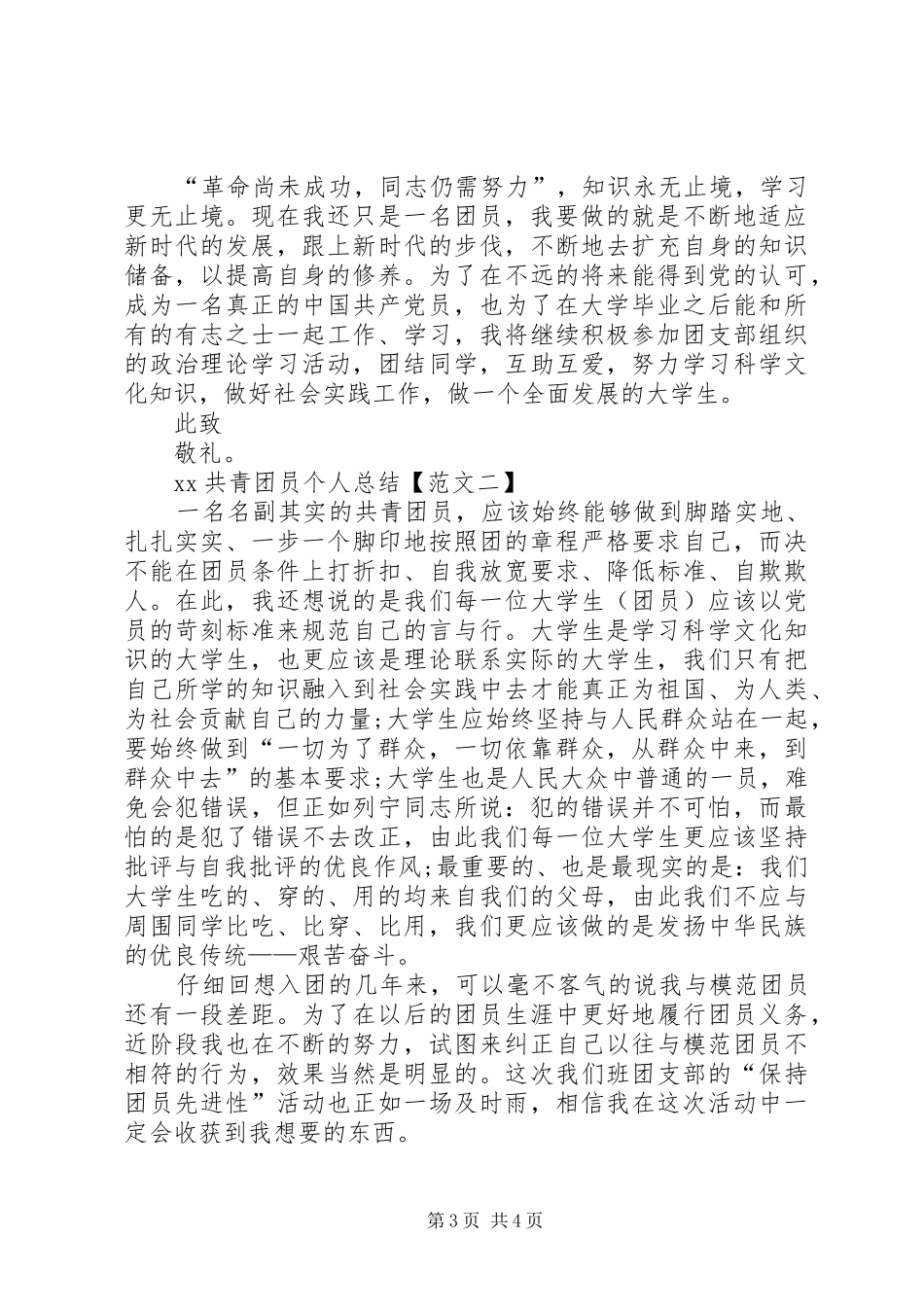 XX共青团员个人总结_第3页