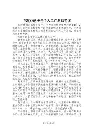 党政办副主任个人工作总结范文