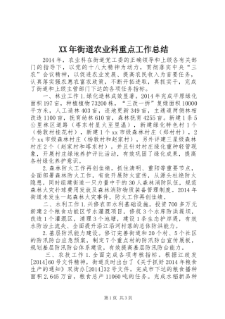 XX年街道农业科重点工作总结
