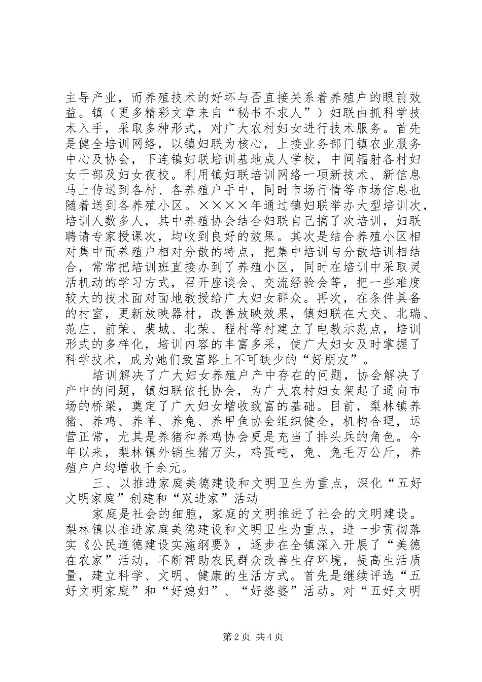 乡镇妇联工作总结 (13)_第2页