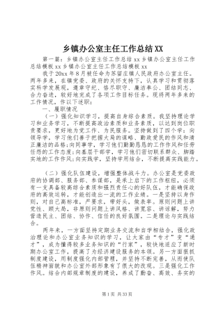 乡镇办公室主任工作总结XX