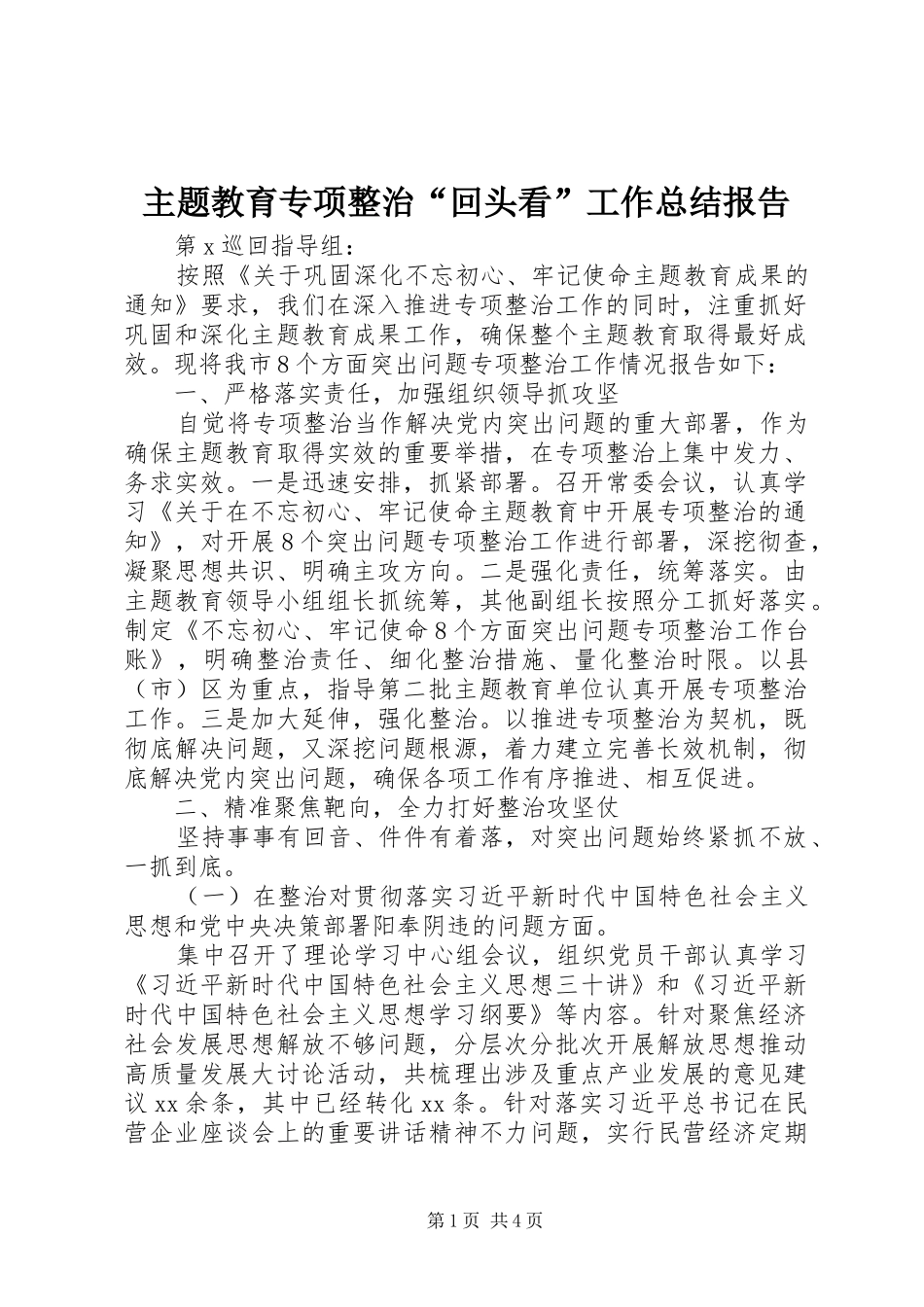 主题教育专项整治“回头看”工作总结报告_第1页