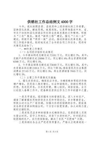 供销社工作总结例文4000字