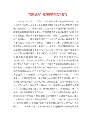 “筑巢引凤”海归精英在辽宁起飞 