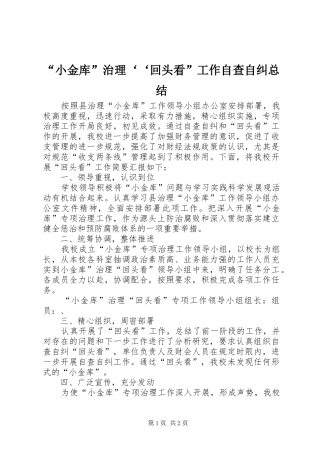 “小金库”治理‘‘回头看”工作自查自纠总结