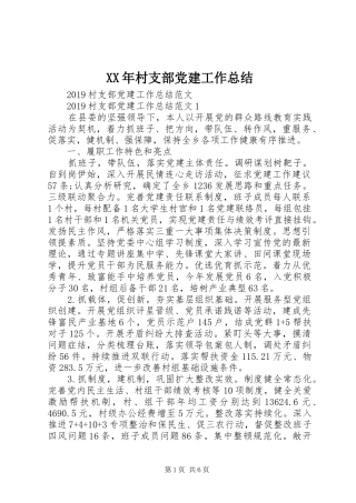 XX年村支部党建工作总结