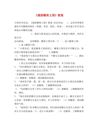 《漫游糖果王国》教案 