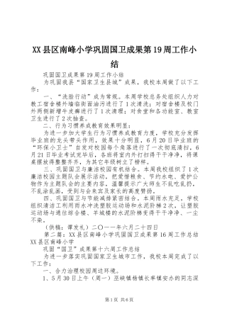 XX县区南峰小学巩固国卫成果第19周工作小结