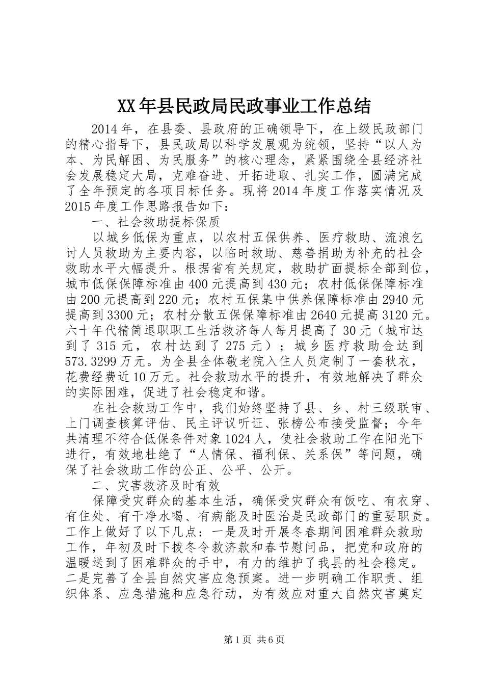 XX年县民政局民政事业工作总结_第1页