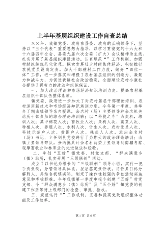 上半年基层组织建设工作自查总结 (3)