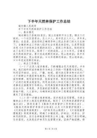 下半年天然林保护工作总结