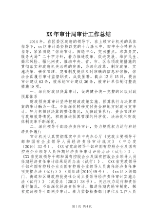 XX年审计局审计工作总结