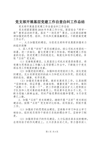 党支部开展基层党建工作自查自纠工作总结 (3)