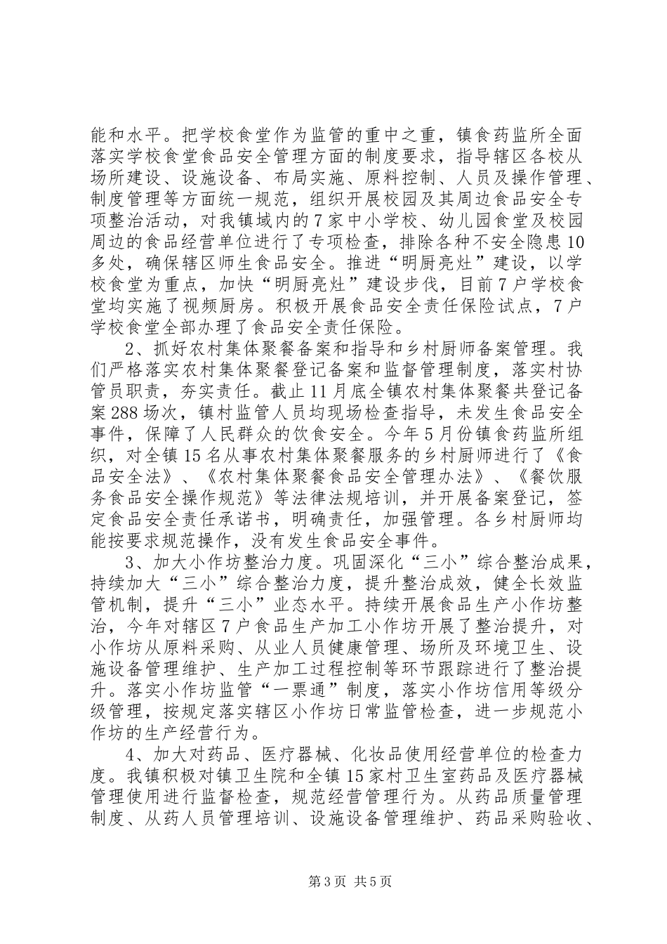 乡镇食药监所XX年工作总结_第3页