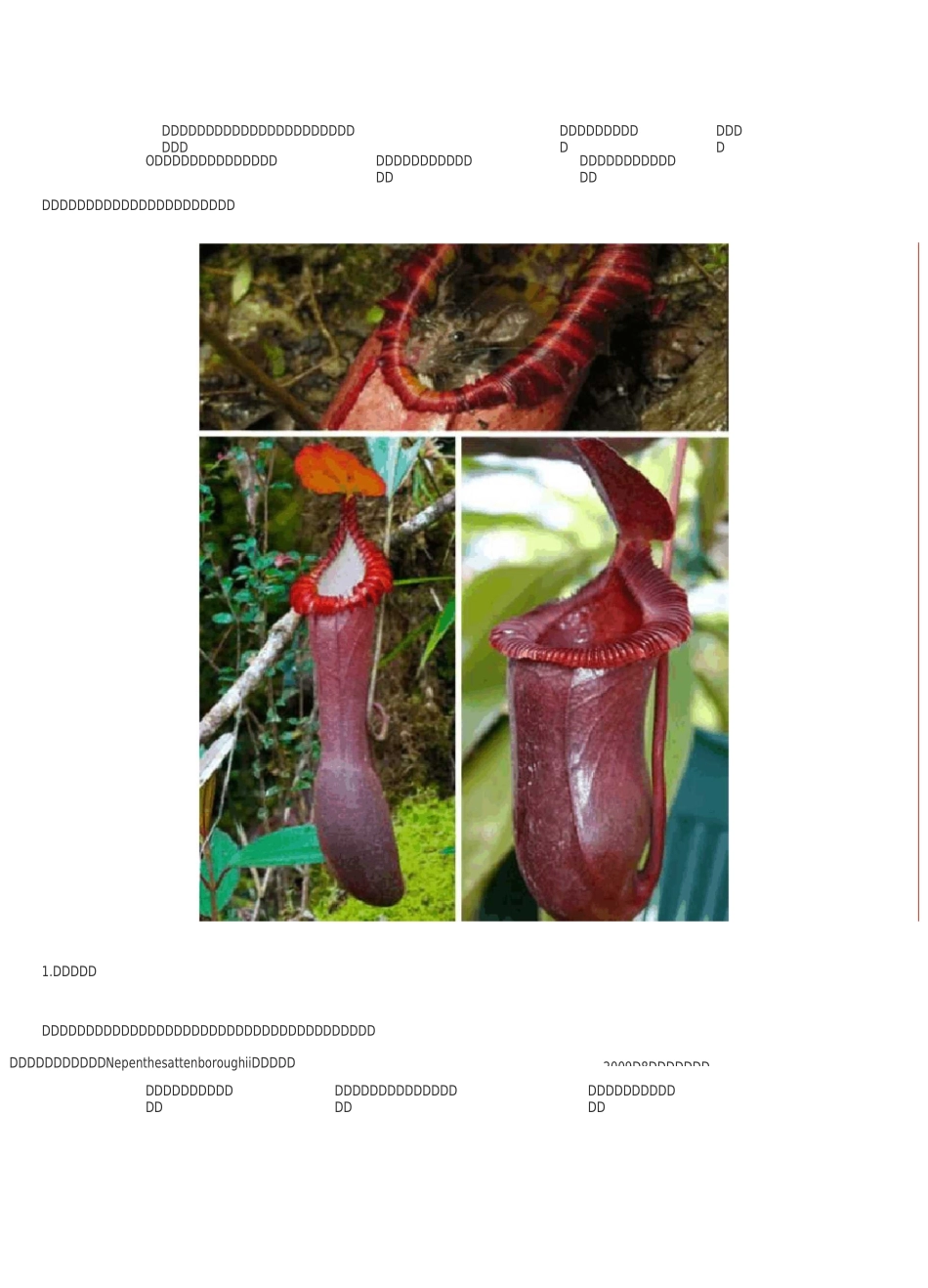 最罕见、最奇异的珍稀植物物种_第1页