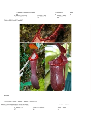 最罕见、最奇异的珍稀植物物种