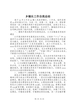 乡镇长工作自我总结