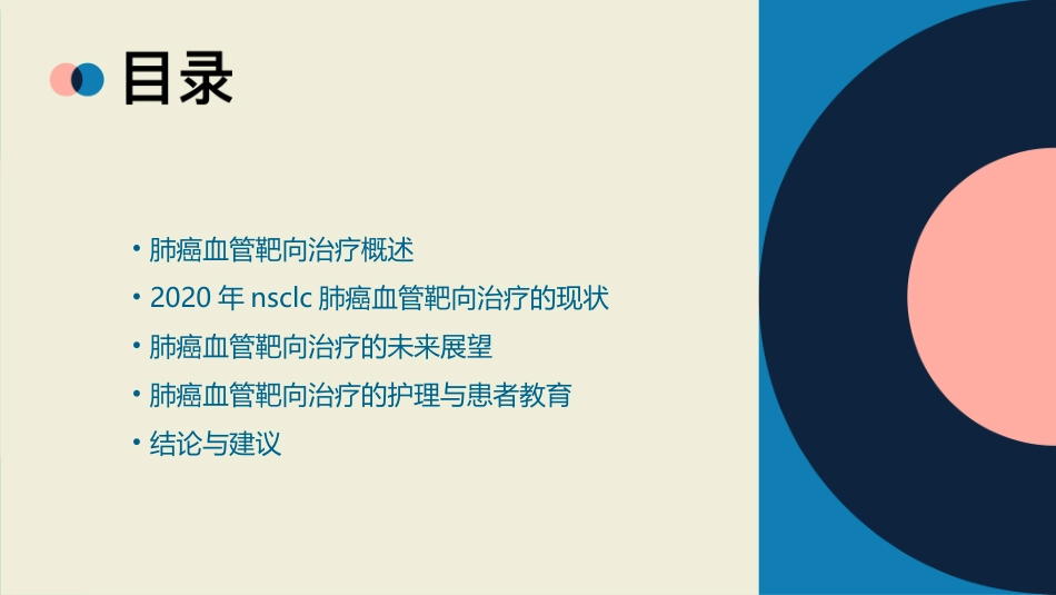 2020NSCLC肺癌血管靶向治疗的现状与未来护理课件_第2页