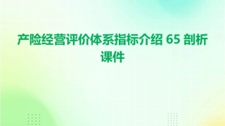 产险经营评价体系指标介绍65剖析课件