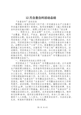 12月自查自纠活动总结 (3)