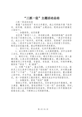 “三抓一促”主题活动总结 (3)