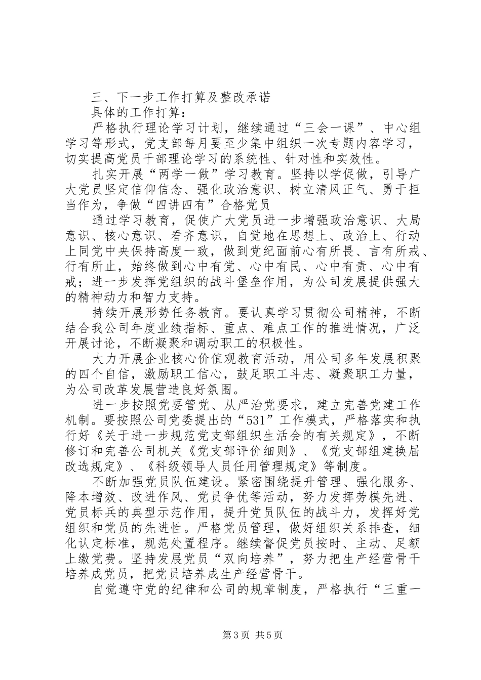 党支部书记抓基层党建工作总结_第3页