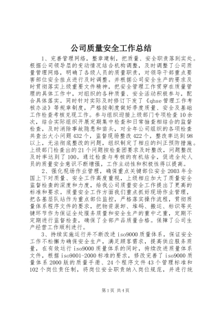 公司质量安全工作总结 (12)