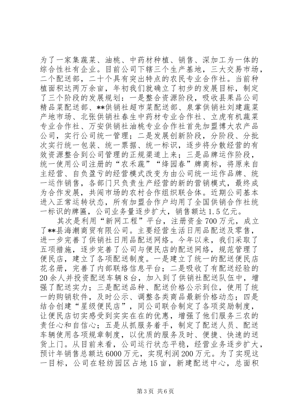 供销社XX年终工作总结_第3页